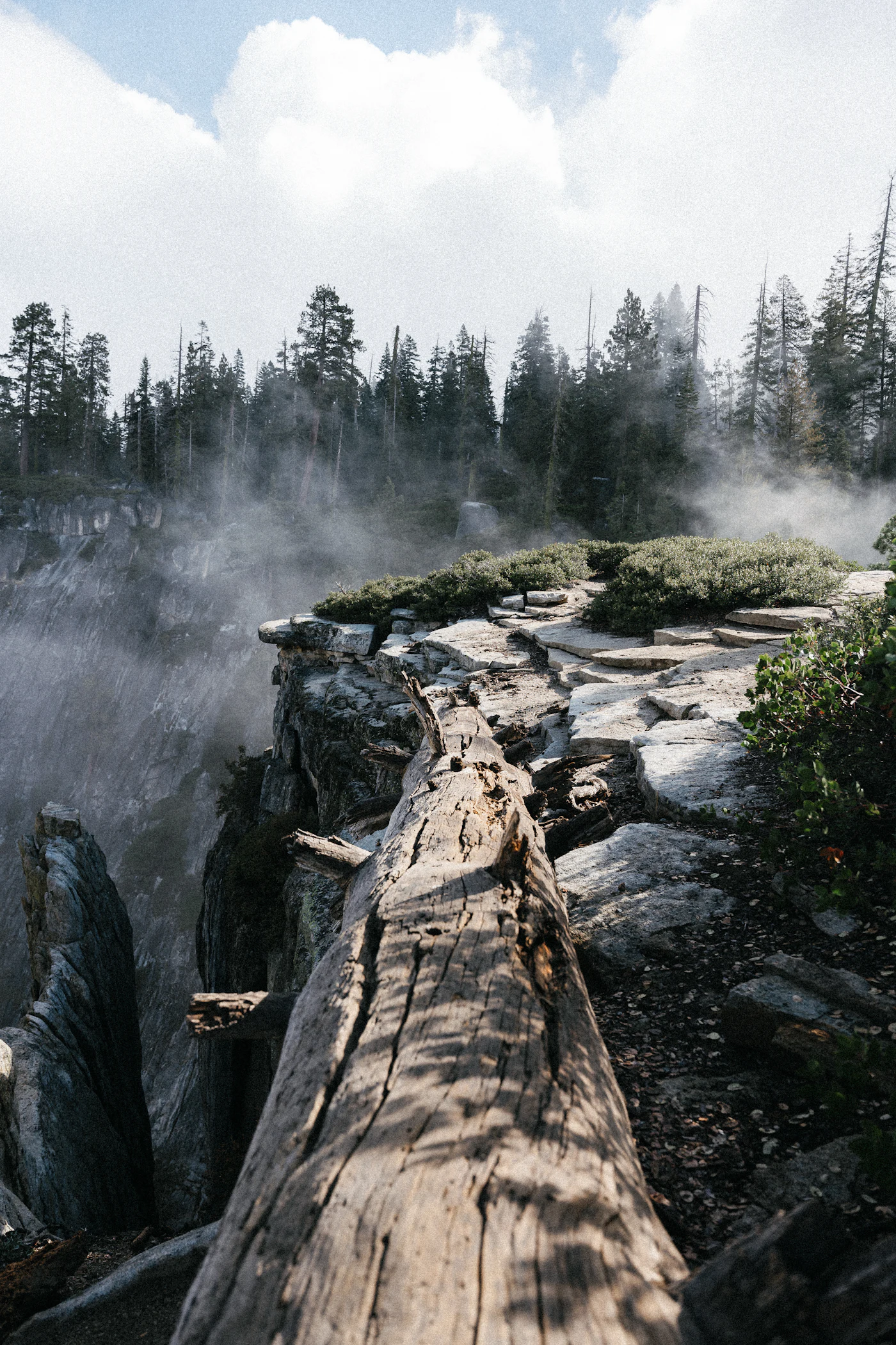 A fallen log across a misty mountain trail among wet rocks and pine trees